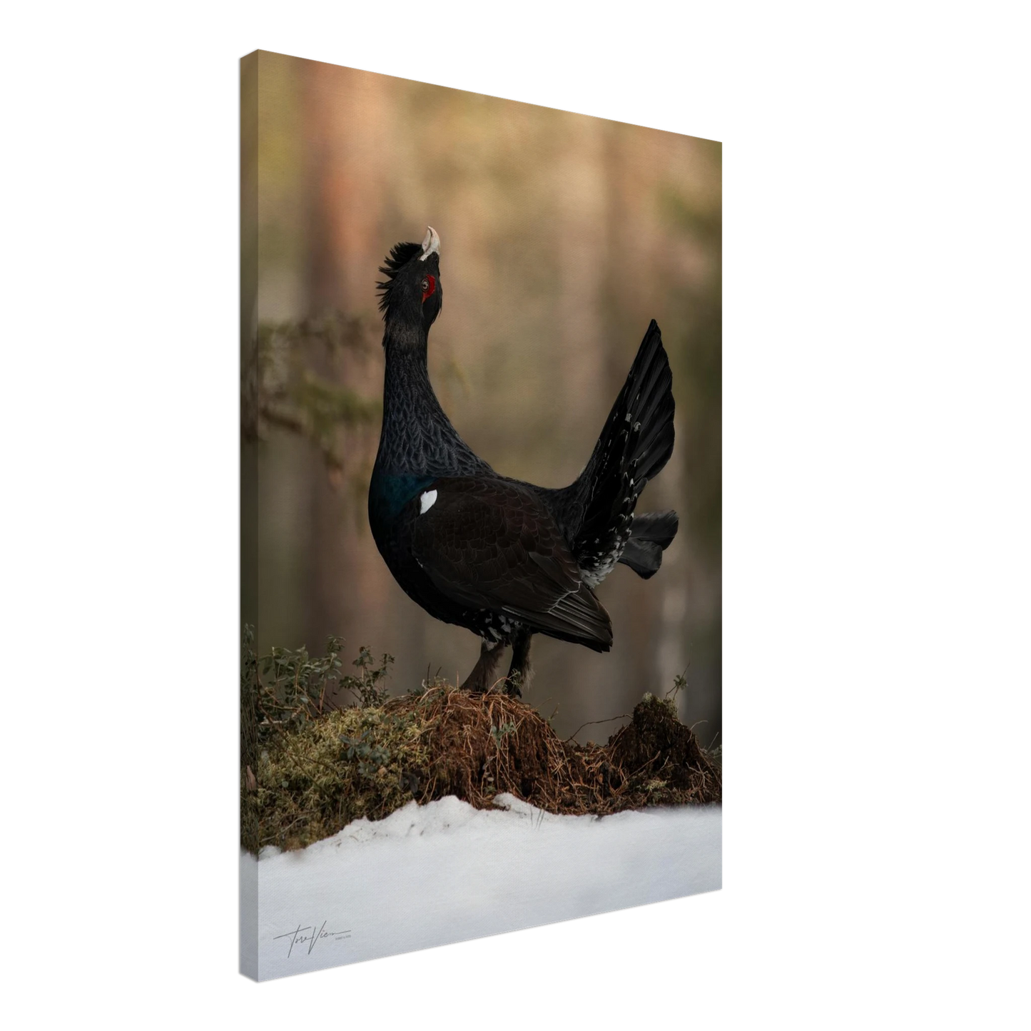 b4b4ab5c-f771-4464-979a-71e21a11628d