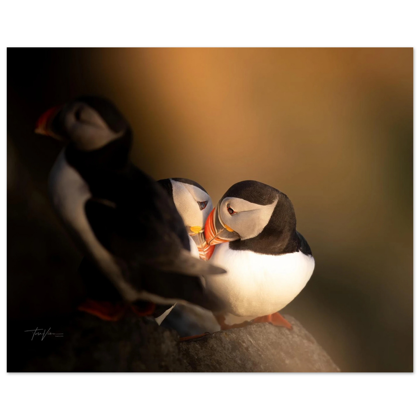 b53223e2-8416-4f70-bab6-f4a292f2a231