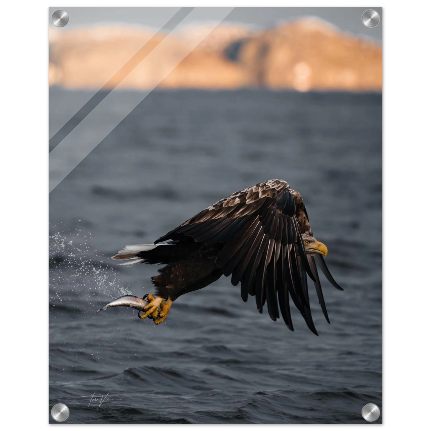 b5814c30-0a40-4e26-9822-c758df3e9d30