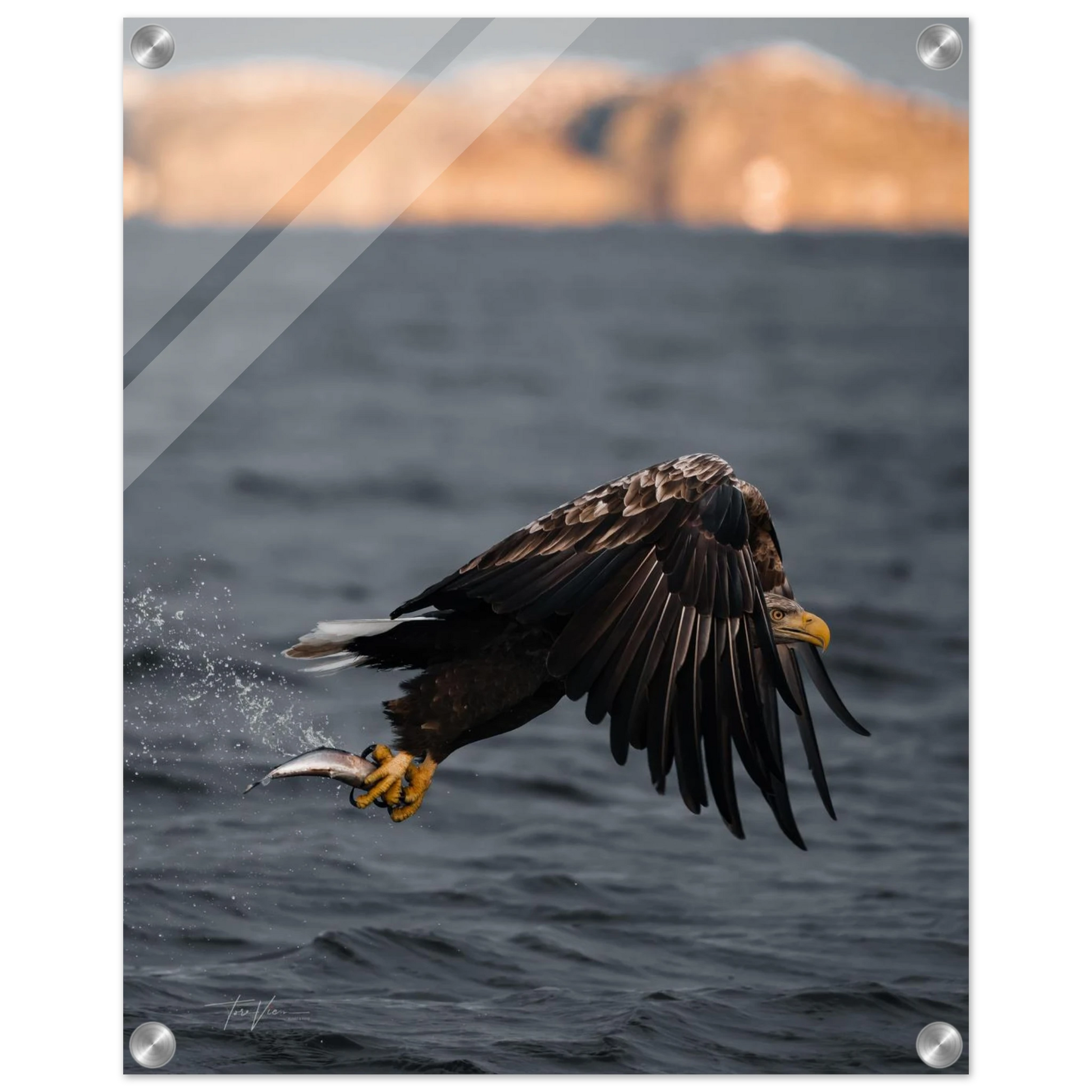 b5814c30-0a40-4e26-9822-c758df3e9d30