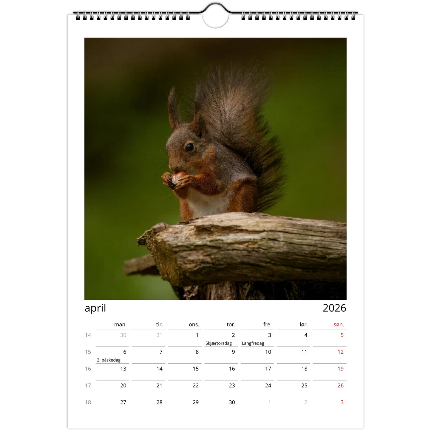 b8686b3d-e4c3-41c0-ba16-be25c438fa5e