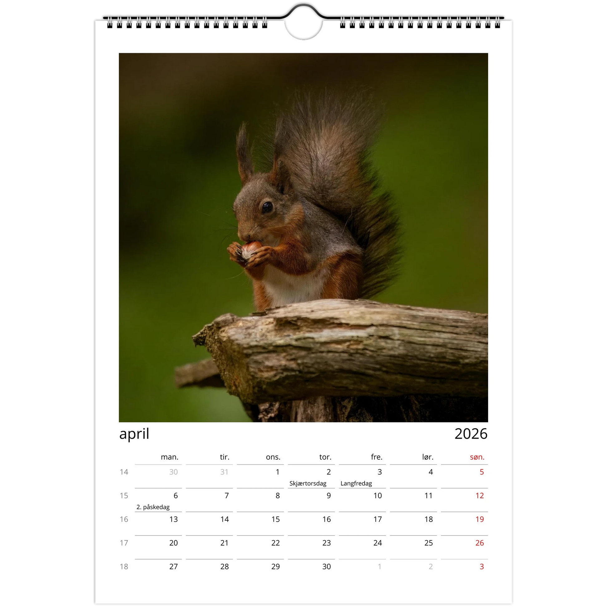 b8686b3d-e4c3-41c0-ba16-be25c438fa5e