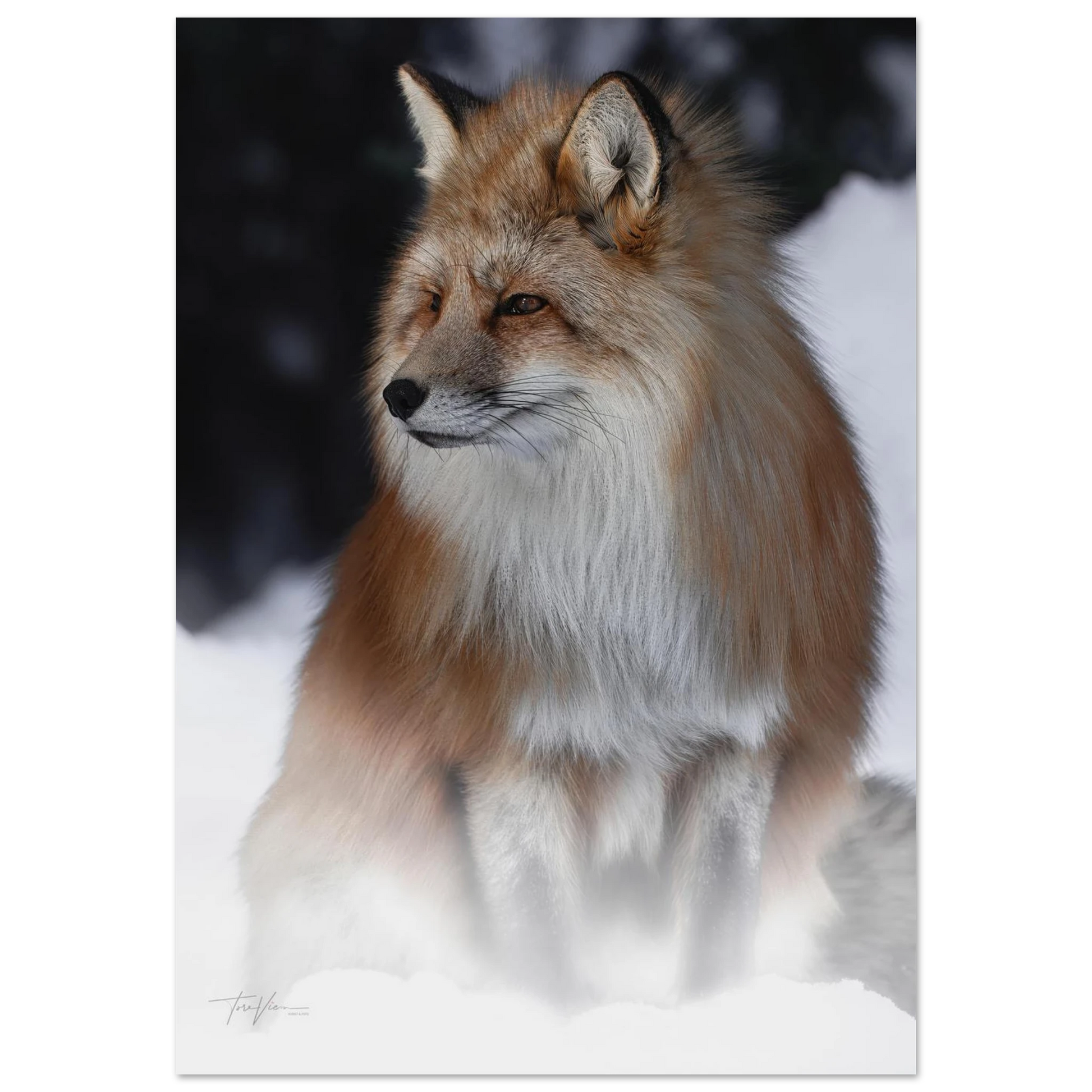 b948028a-2359-4f06-8d2b-a43bba40e9c1