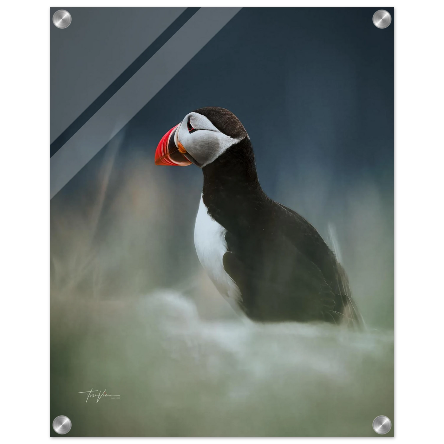 ba02e895-f0d5-4f51-836f-eb5f58f26ab5