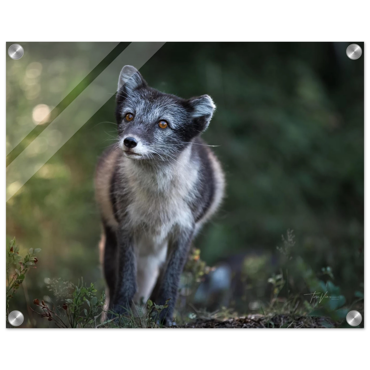 bab234a0-6753-41b6-8ec2-5dd53b8a8650