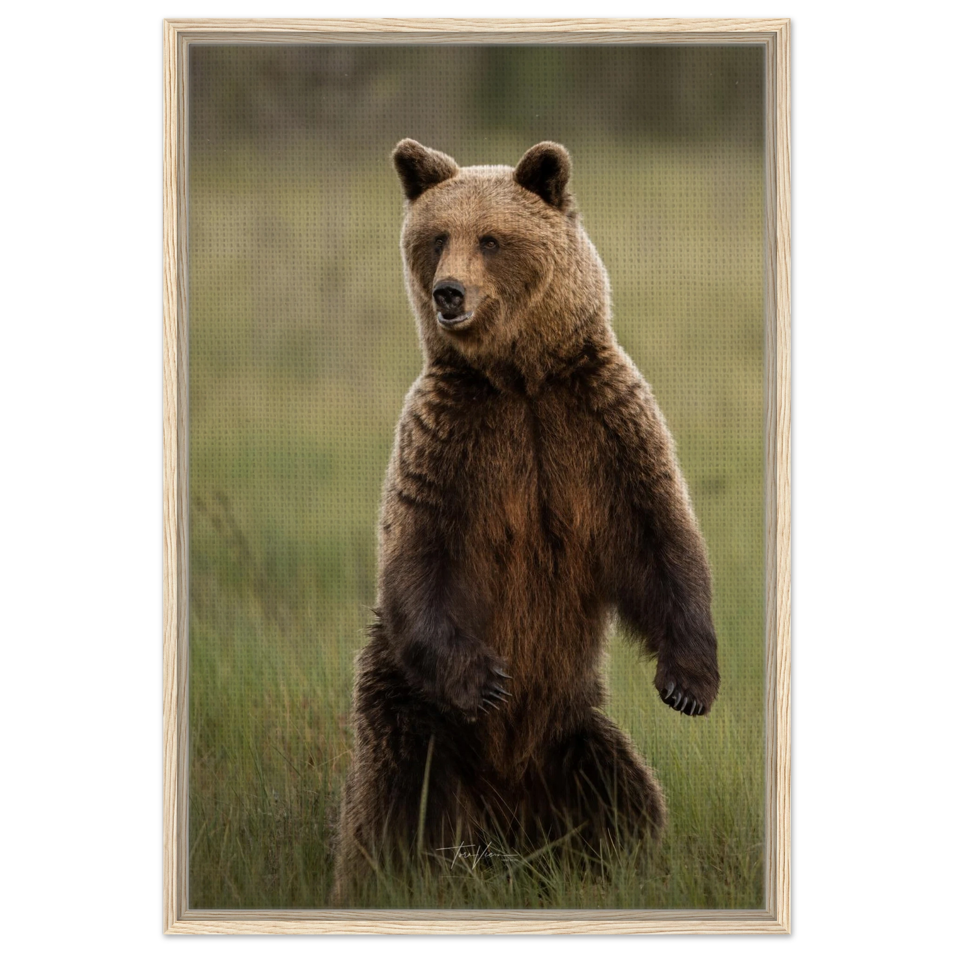 bba847fc-71a4-4867-8e48-bd38b8efc512