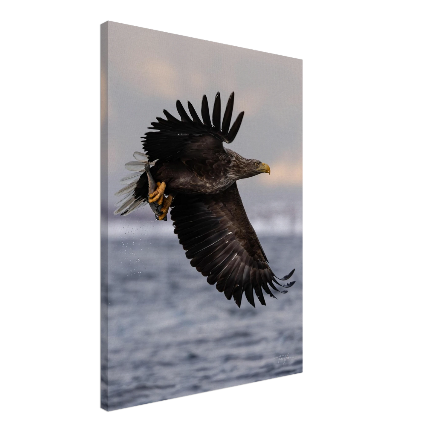 bc4dae26-50c3-4887-872e-1707a612b698