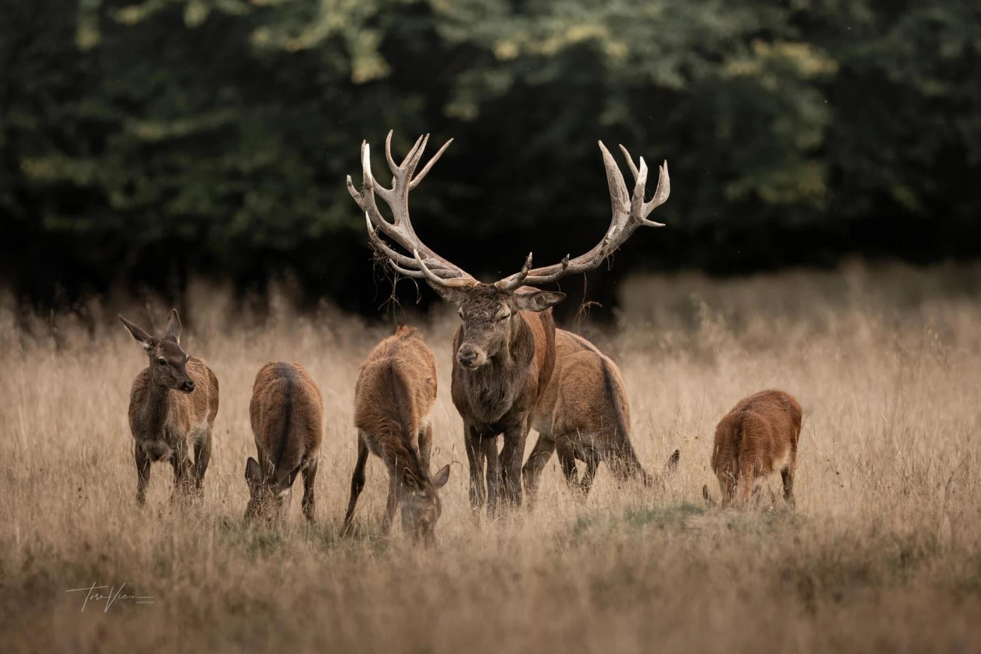 bc92d974-6564-4778-b0f8-805be79f562f