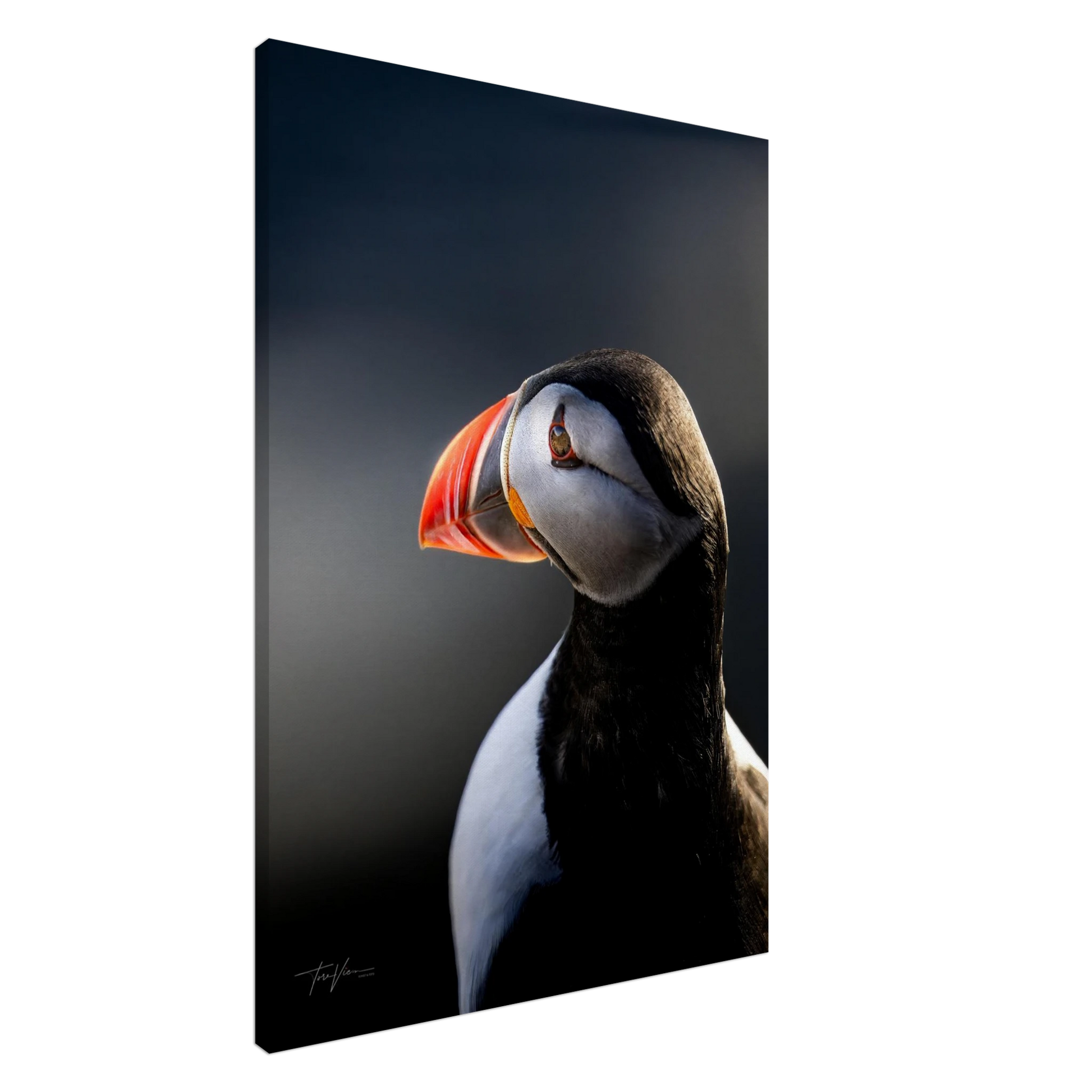 bd1f1d90-2d3c-4087-b932-685bafb3e91f