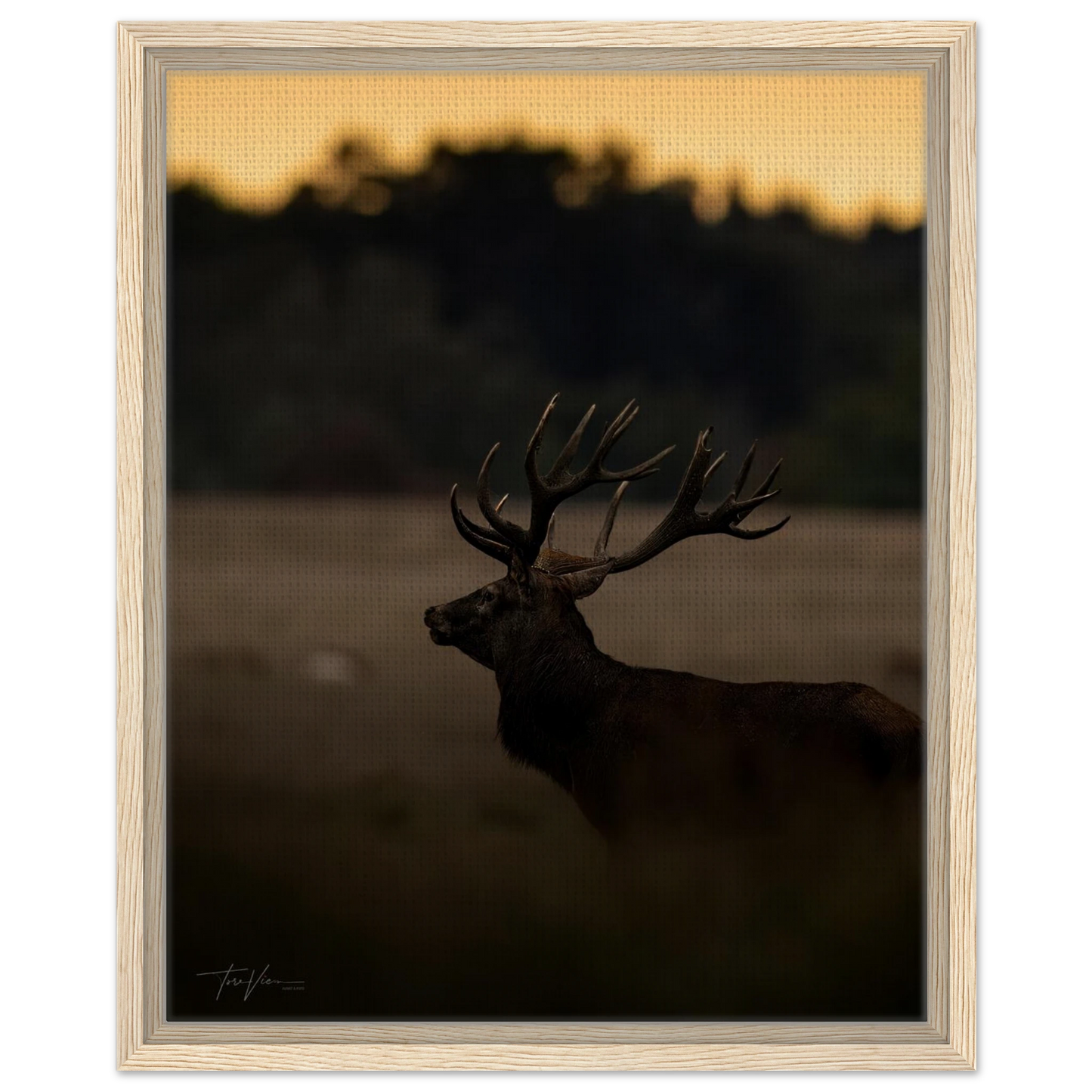 bdf44105-1f88-4df0-bd0f-9fc828d58737