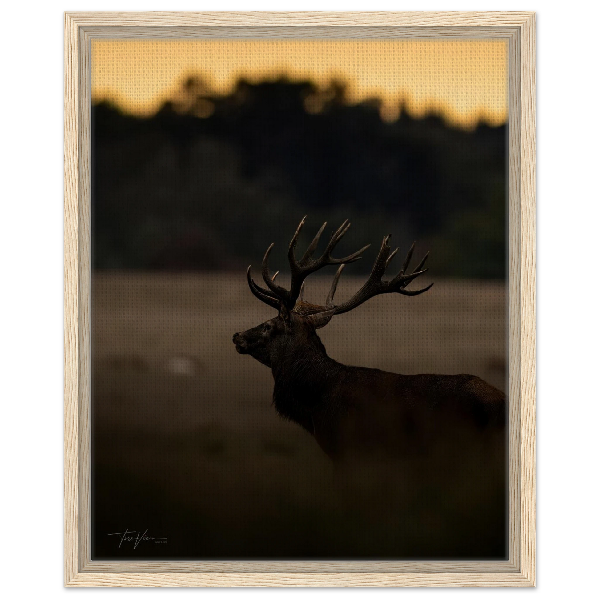 bdf44105-1f88-4df0-bd0f-9fc828d58737