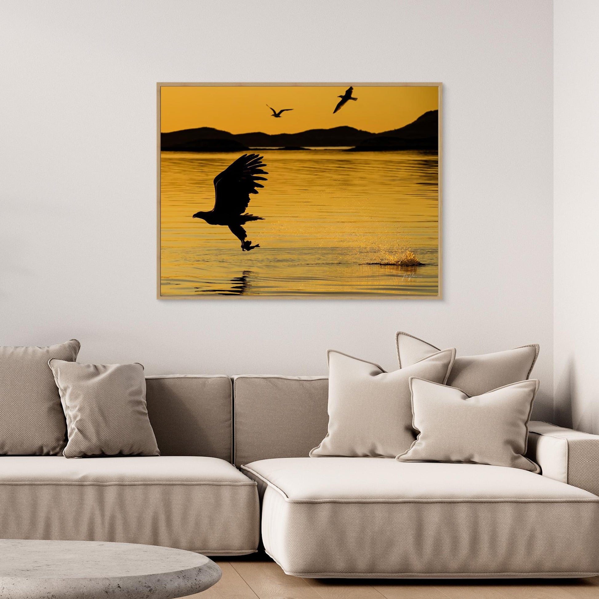 Havørn 001