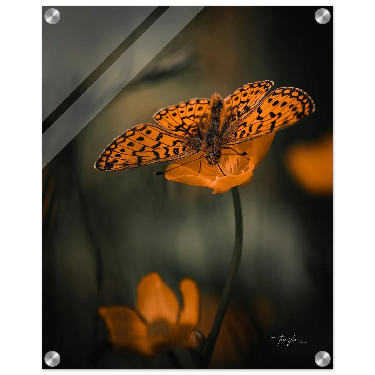 beefa71e-932d-44f9-b141-e3f5687e99f2