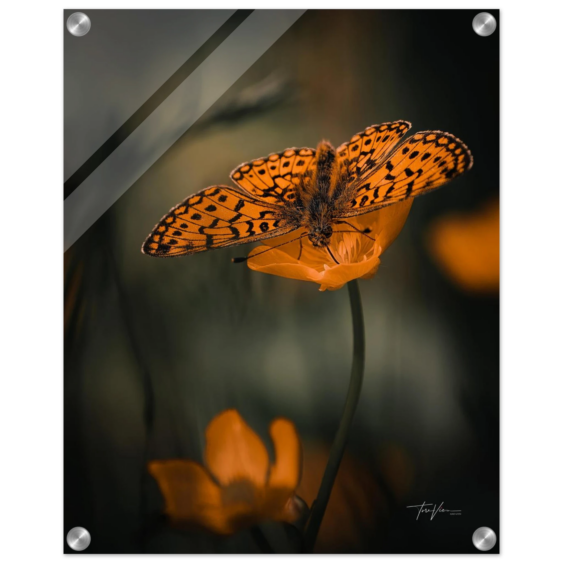 beefa71e-932d-44f9-b141-e3f5687e99f2