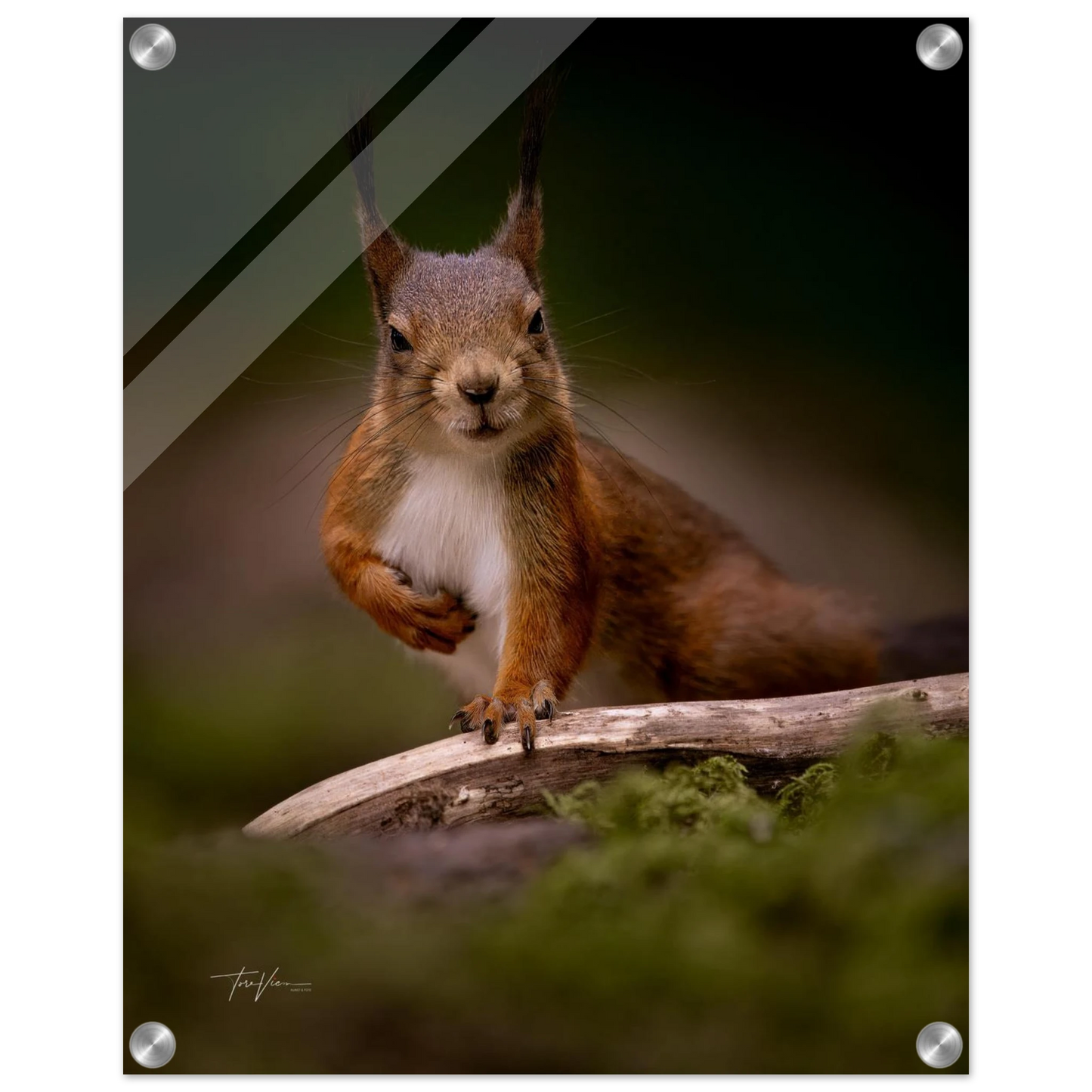 bf2958f5-b4eb-475d-bd33-8c5c1b9e96c6