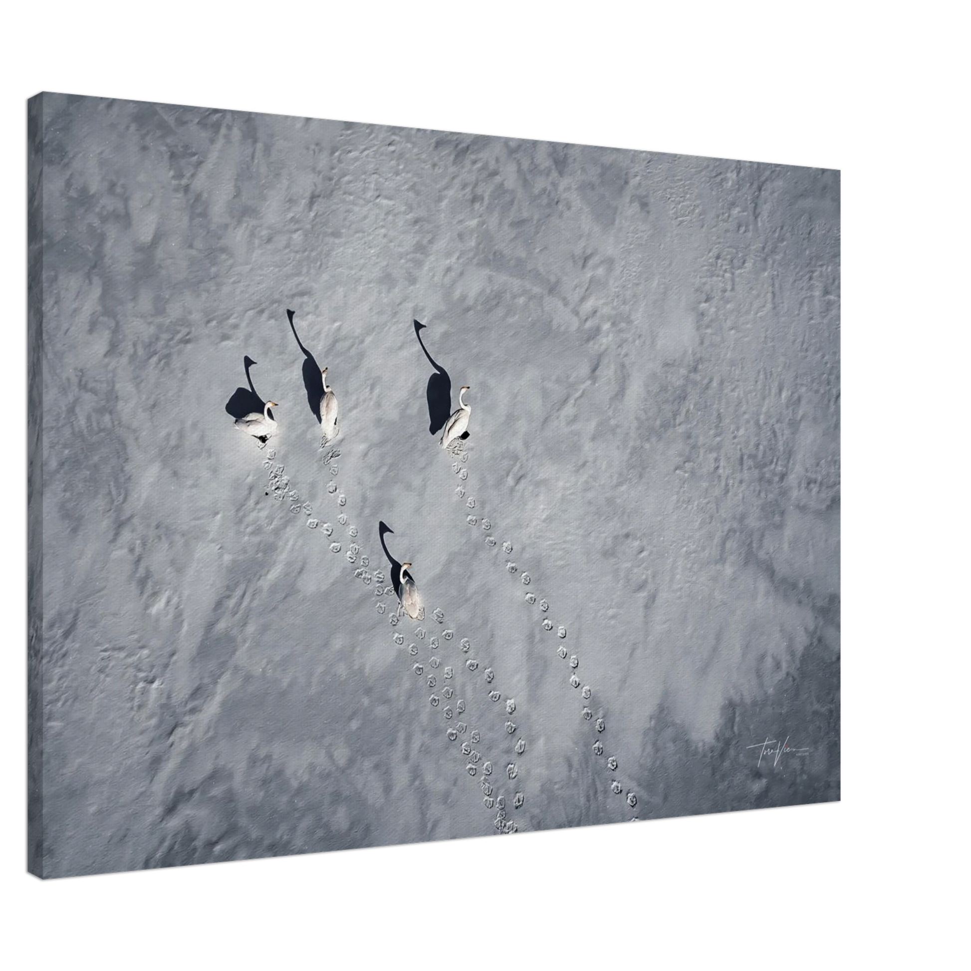 bf54d015-d5d9-4e4c-8ab8-ab0a50d7ab05