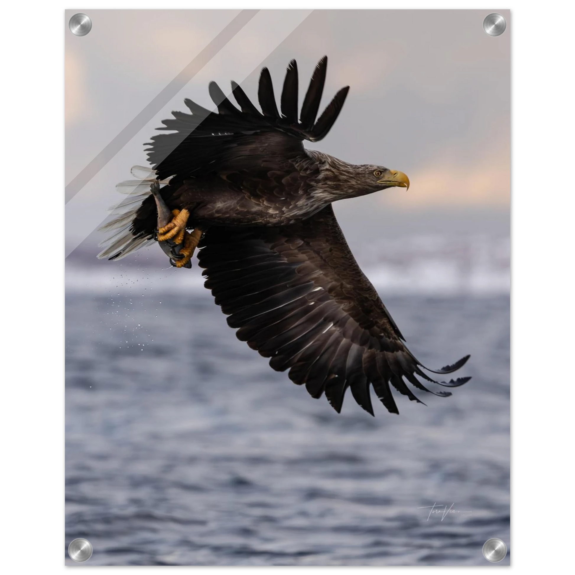 bfa3fabd-f544-47a7-a929-1169880b2a29