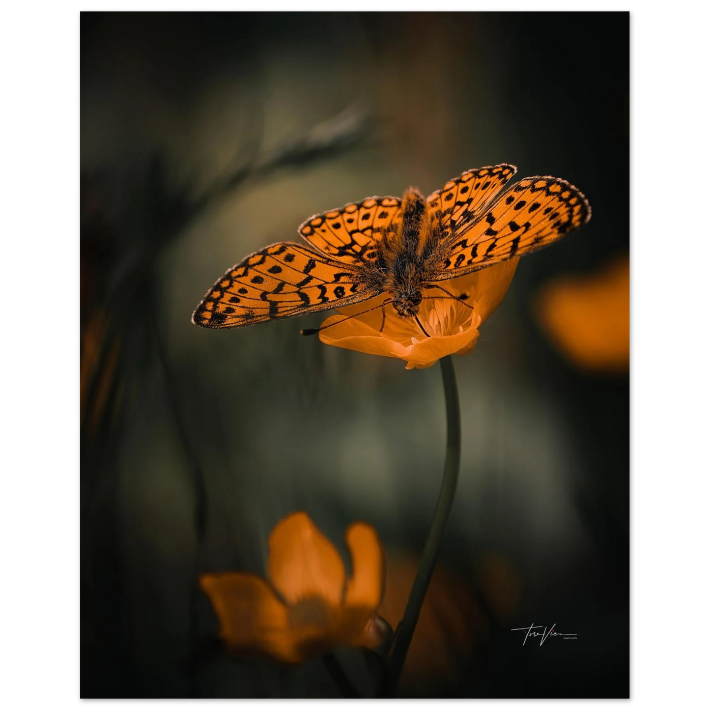 c02a3876-11c9-4a2e-861e-b528a71906a2