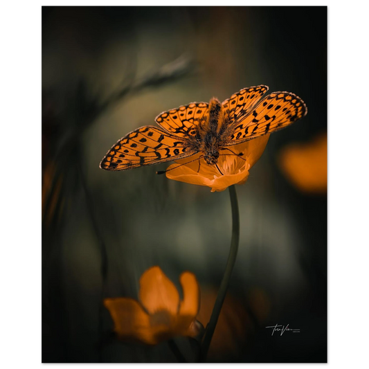 c02a3876-11c9-4a2e-861e-b528a71906a2