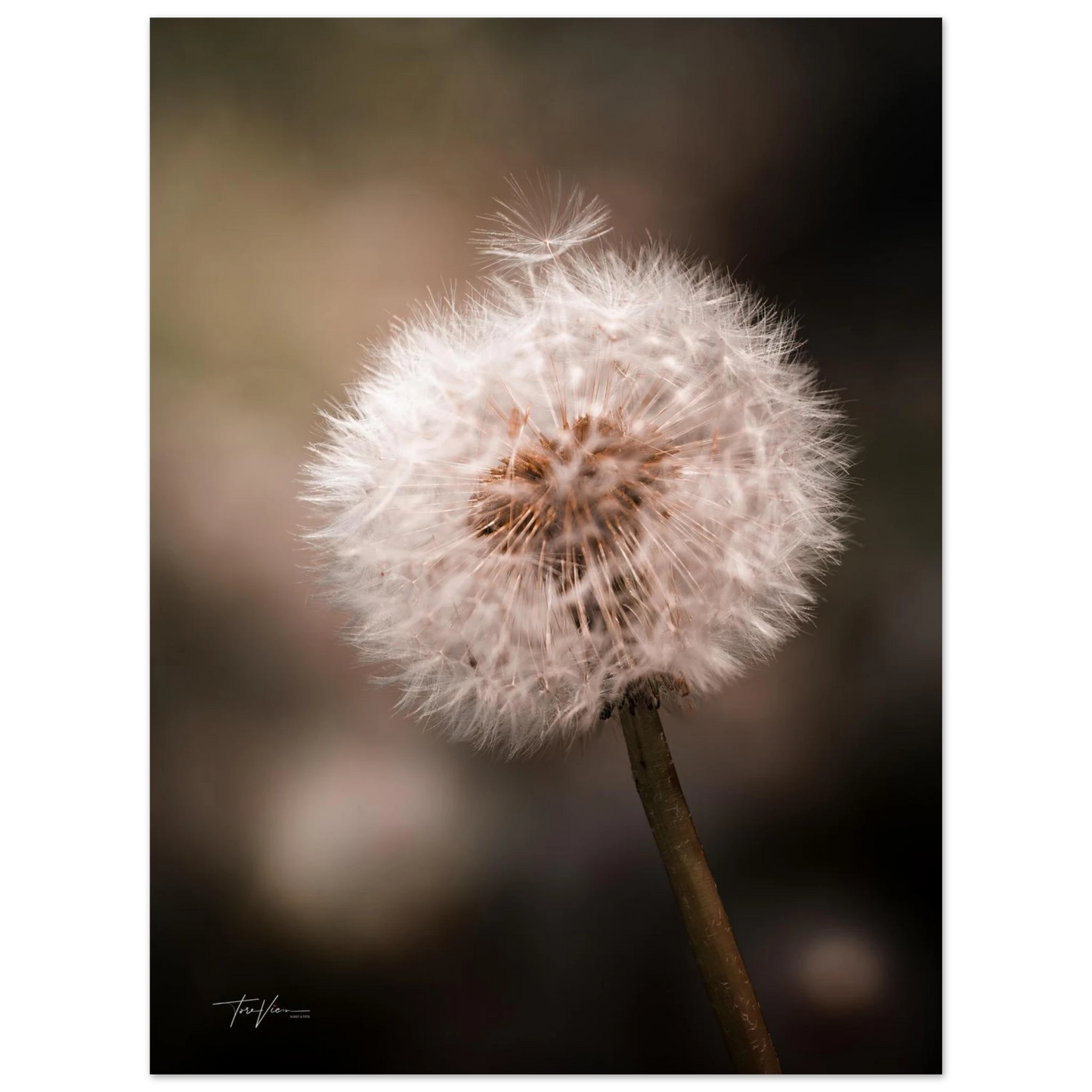 c0fbfec2-813f-4616-8eda-b935117c8140