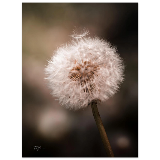 c0fbfec2-813f-4616-8eda-b935117c8140