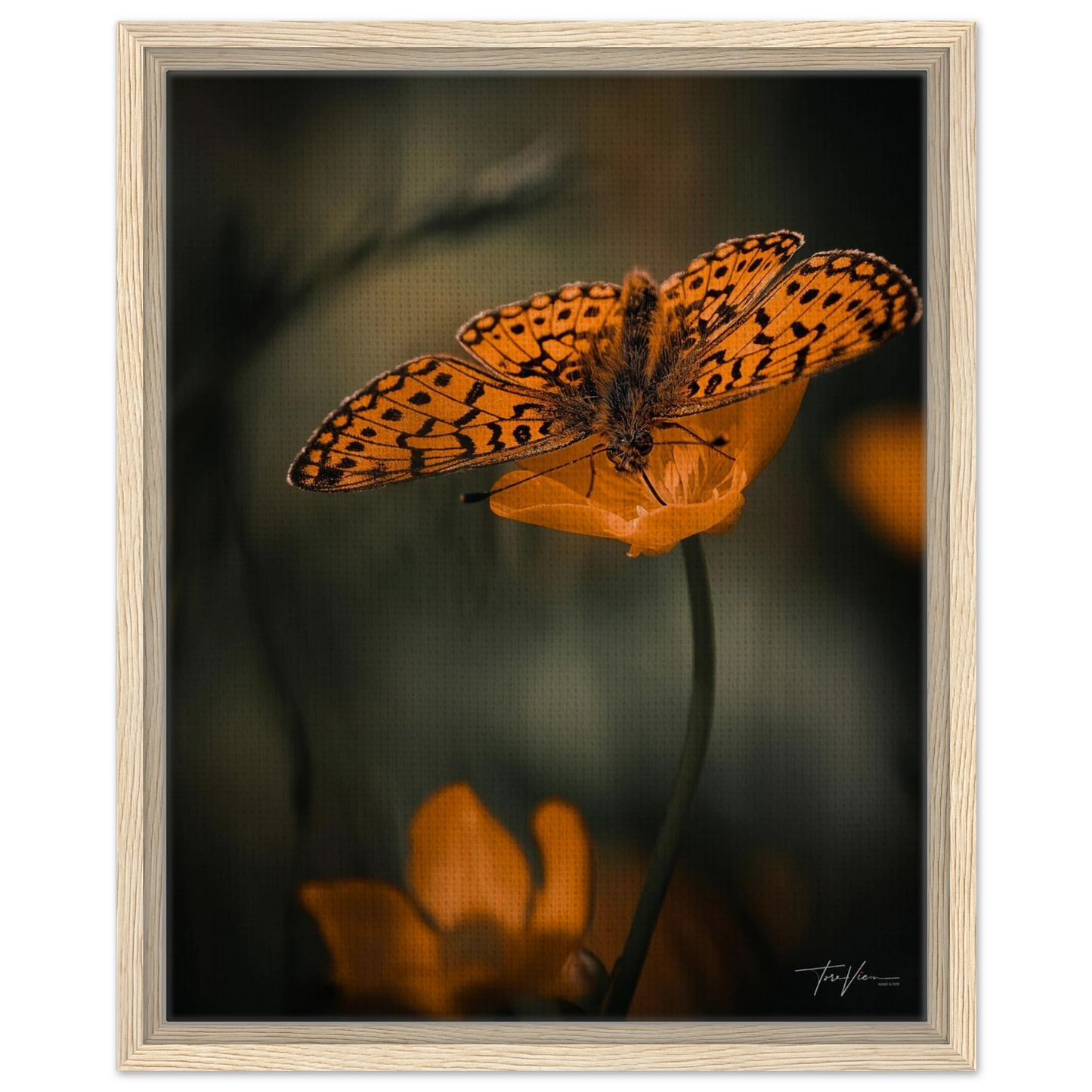 c13162b2-b225-4ddf-be06-91df02197c85