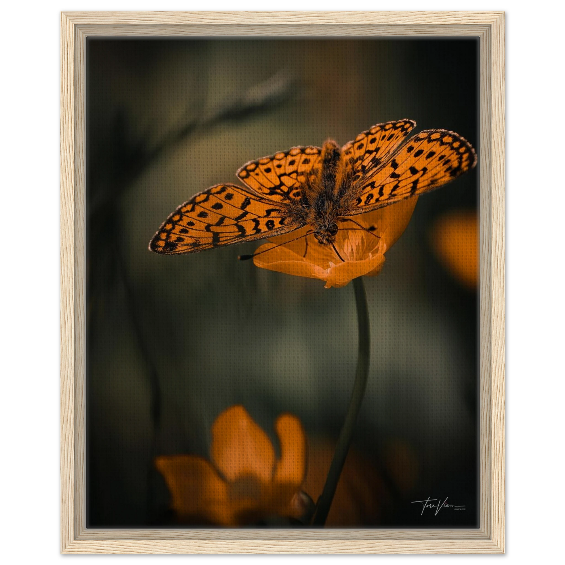 c13162b2-b225-4ddf-be06-91df02197c85