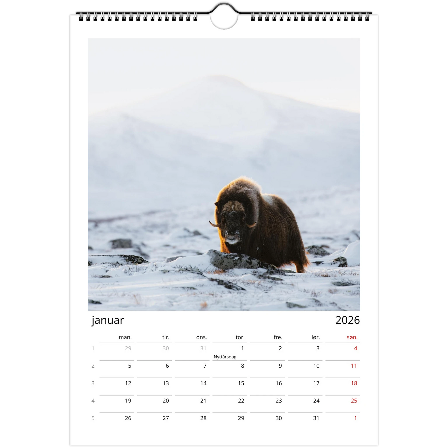 c24c7519-f6c9-436c-ab6a-5efda43d5c0c