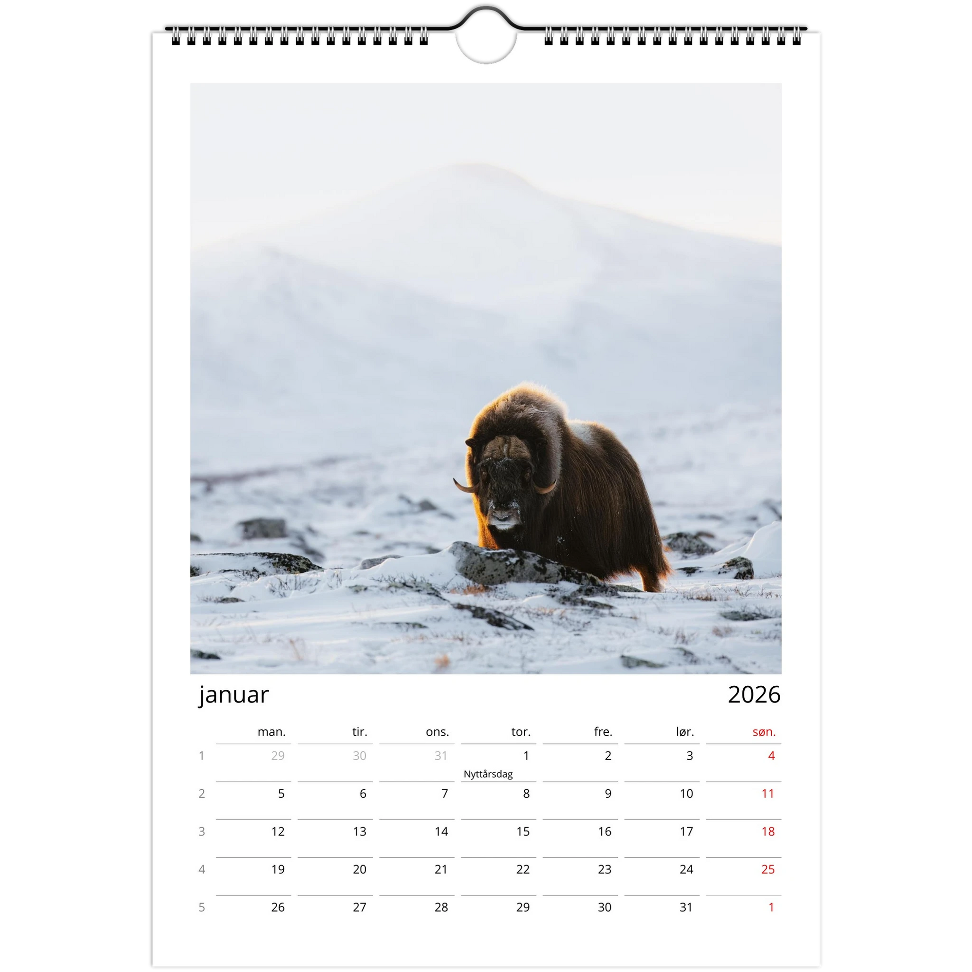 c24c7519-f6c9-436c-ab6a-5efda43d5c0c