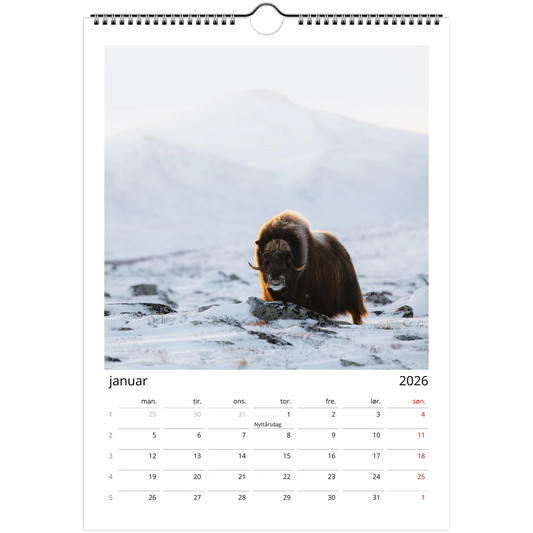 c24c7519-f6c9-436c-ab6a-5efda43d5c0c