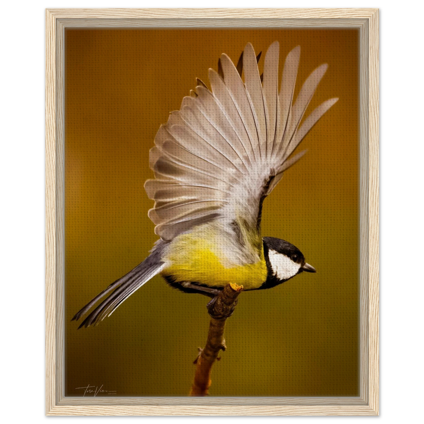 c2975396-5f5f-4112-abdc-11230bf0d4c6