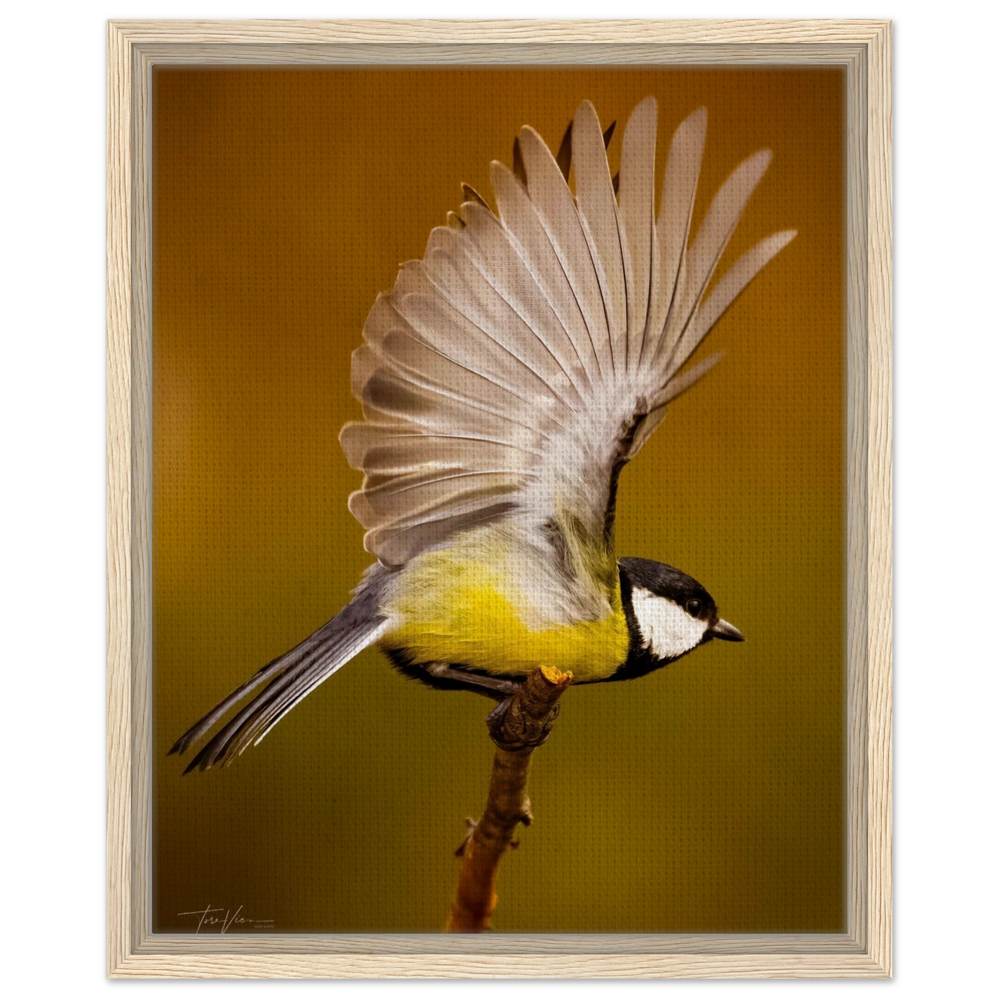 c2975396-5f5f-4112-abdc-11230bf0d4c6