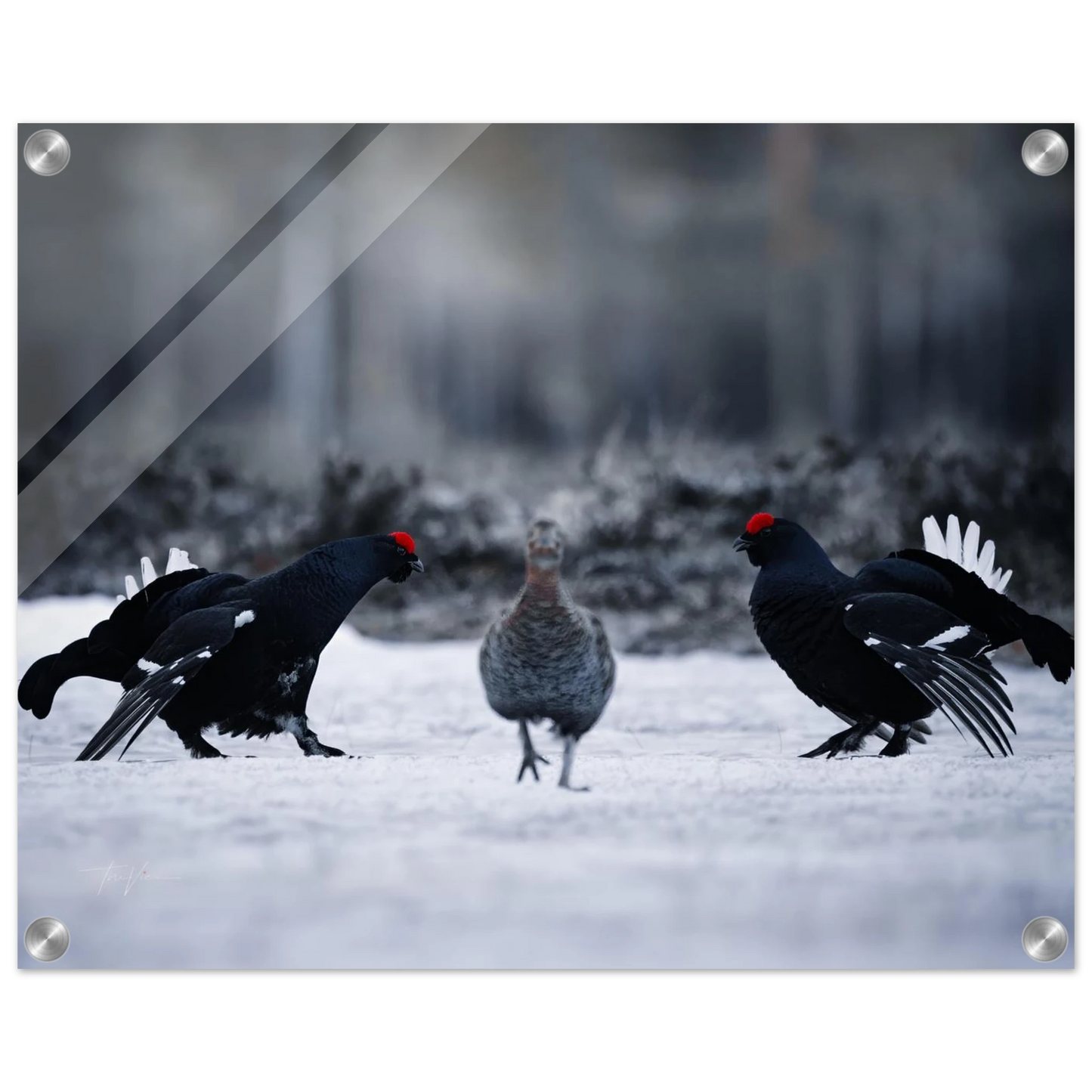 c2a1e7ca-c1b7-4544-9013-c606cc5e585a