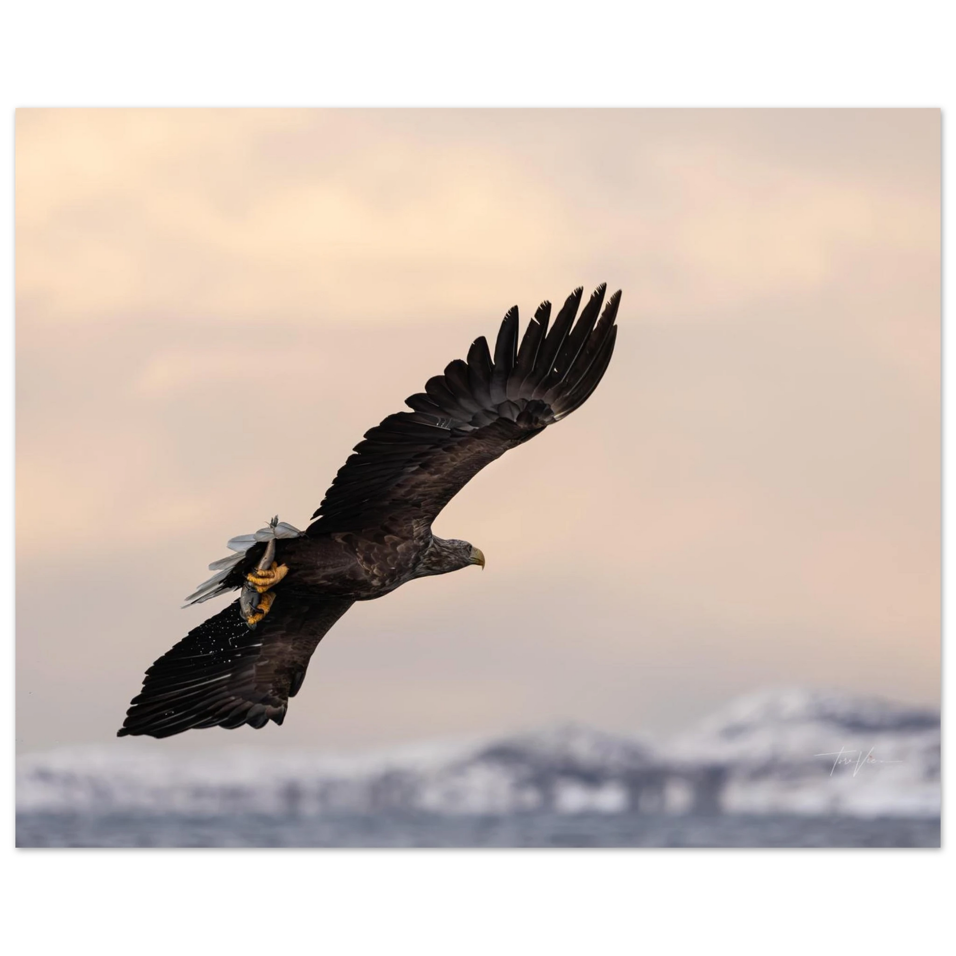 c34d4956-77dc-4bf5-941b-b49ebdd3d6c9