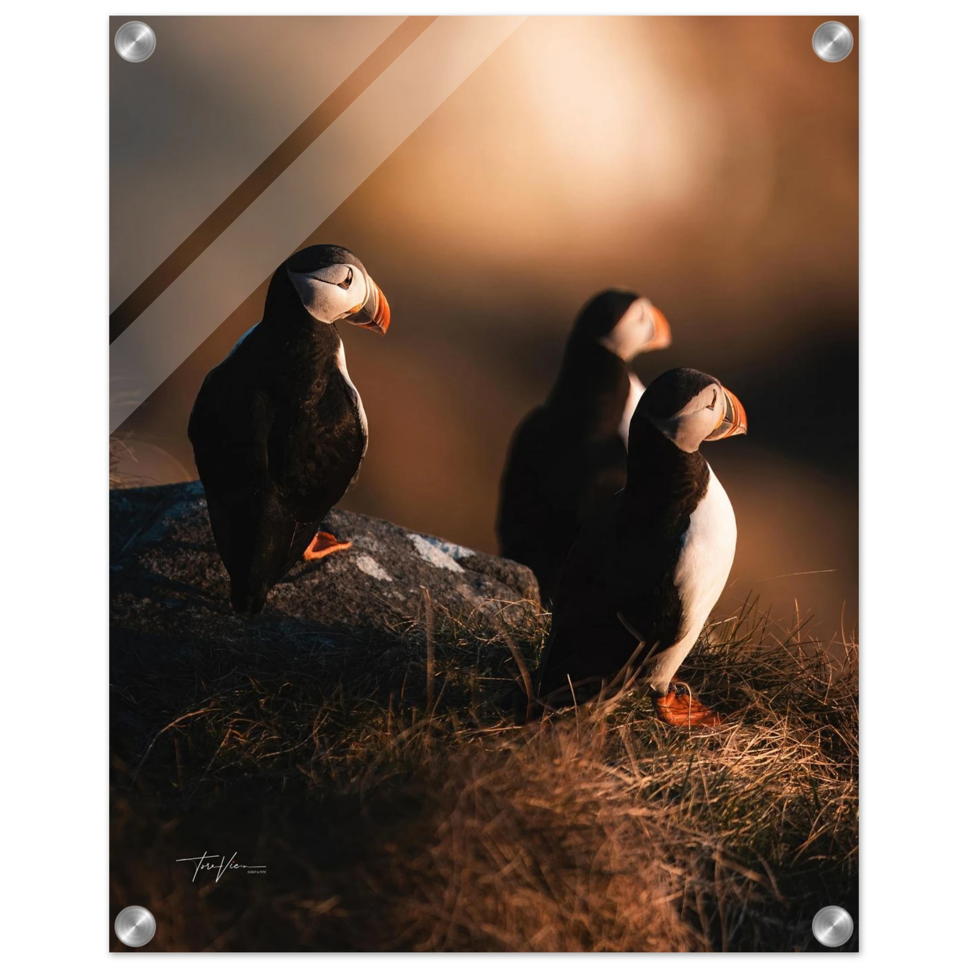 c45fca8d-3150-4167-a31f-81a205d5ea9e