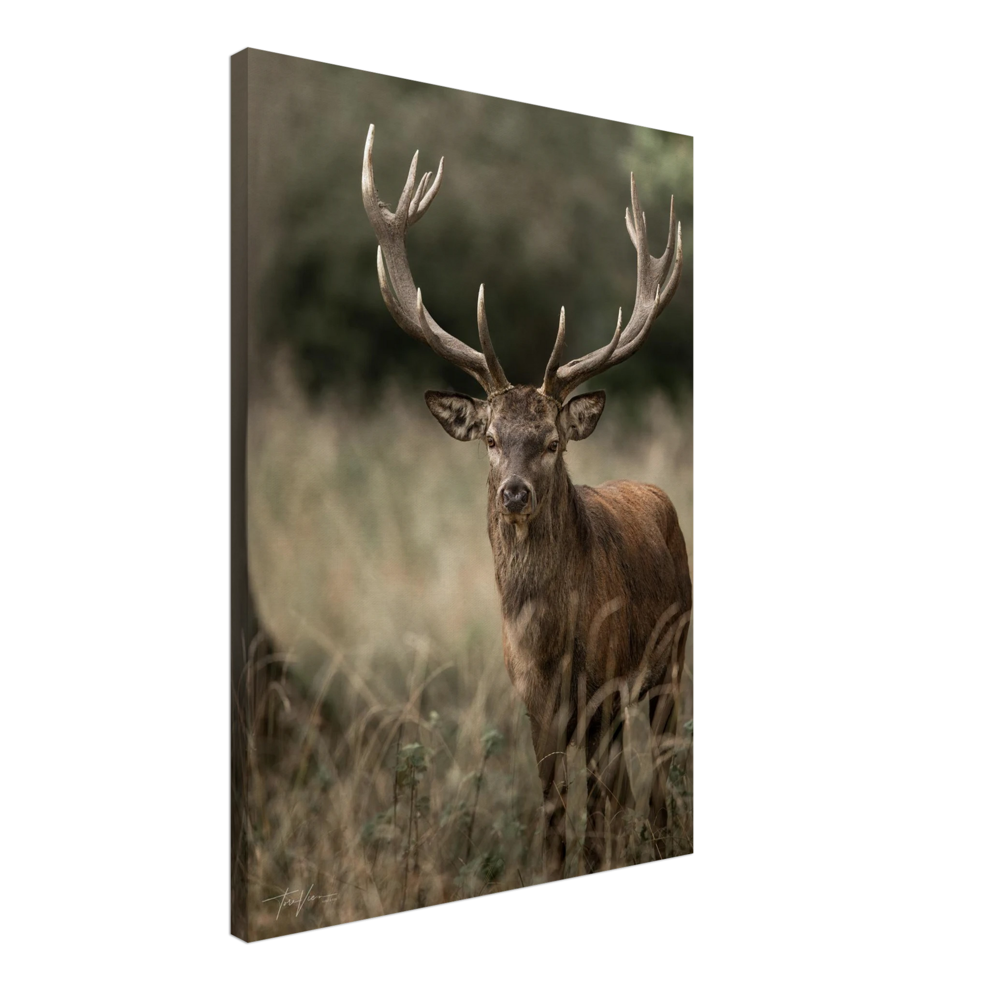 c4692924-d113-45d7-baf3-a0bf4ed480dd