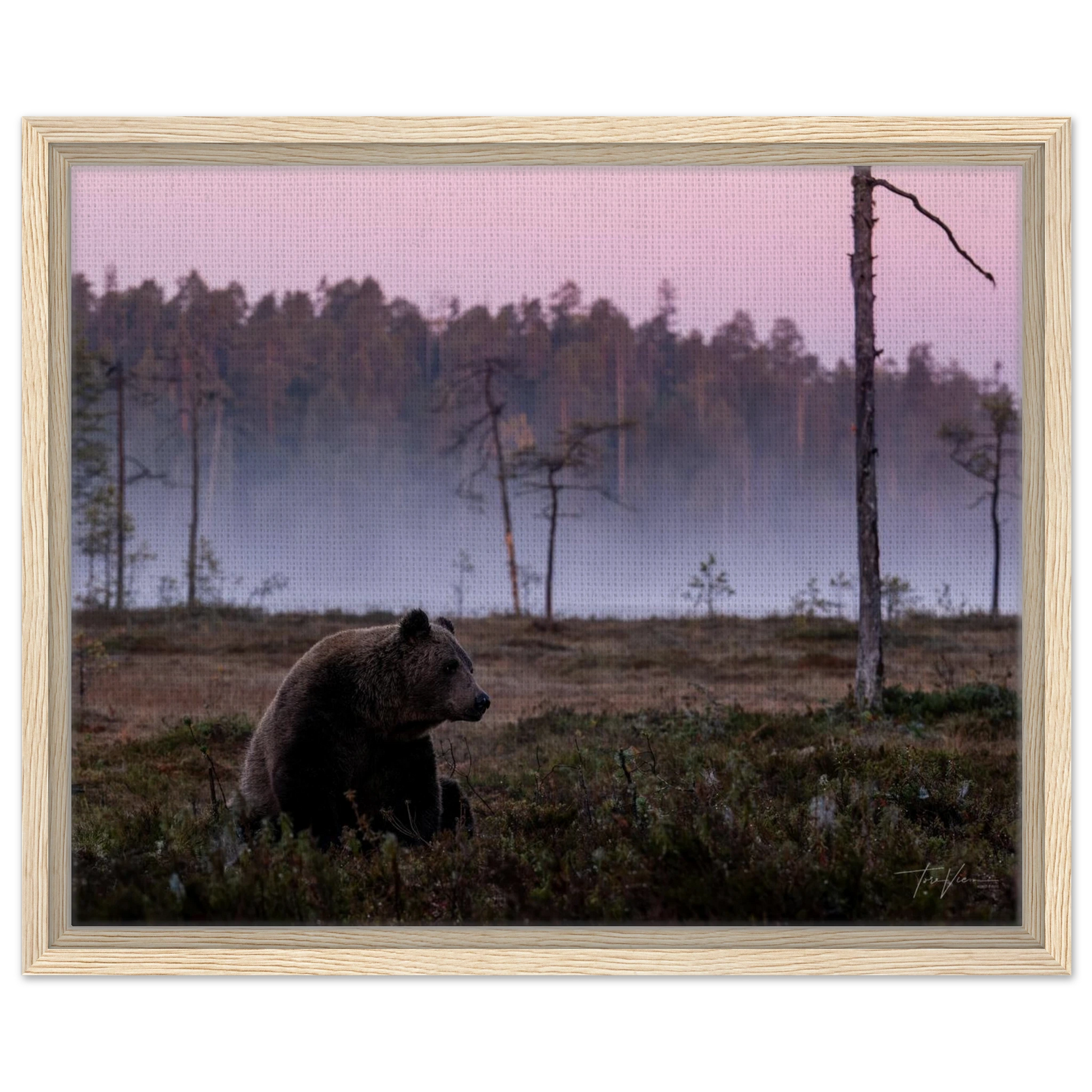 c550ed3a-471f-4308-b781-965def7ab494