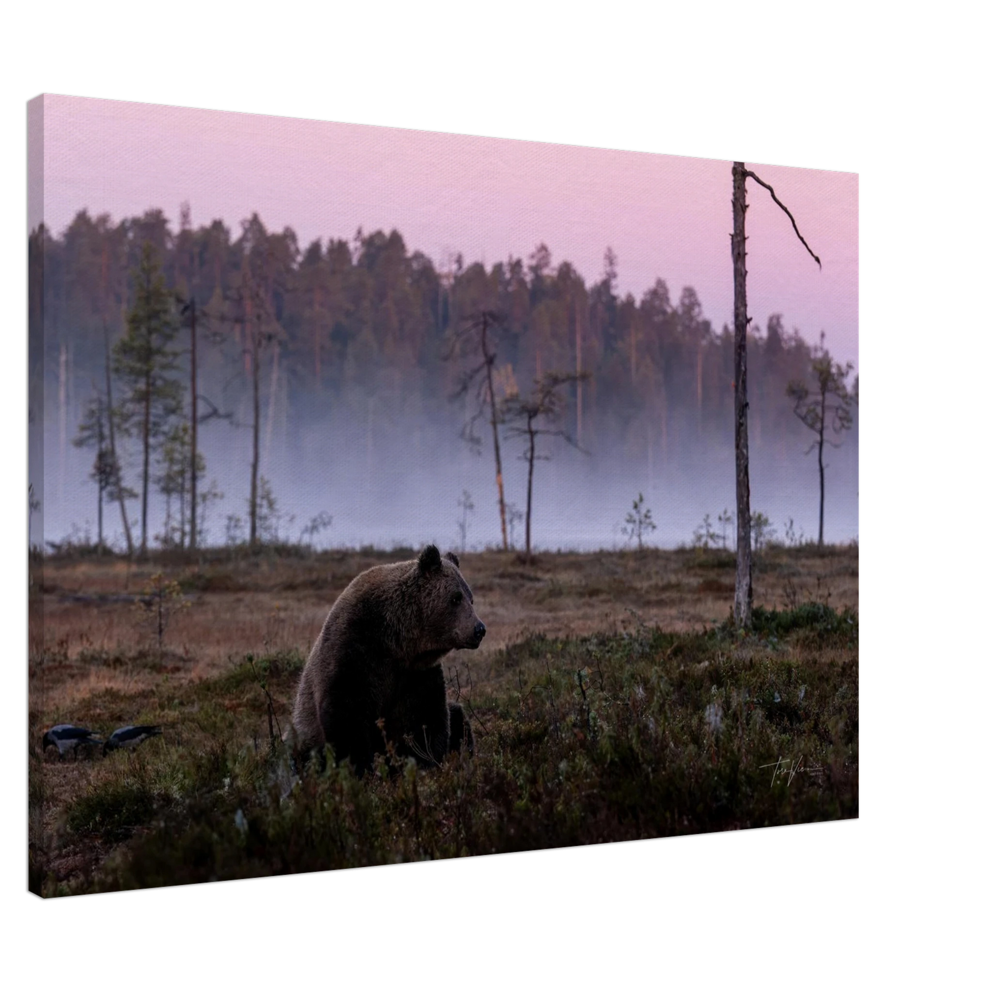 c58751e1-3596-4e0c-91fd-8c033f374294