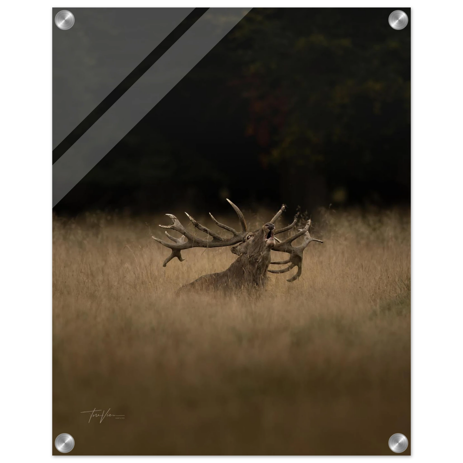 c5b93e2c-9523-4b84-9398-4418c233d375