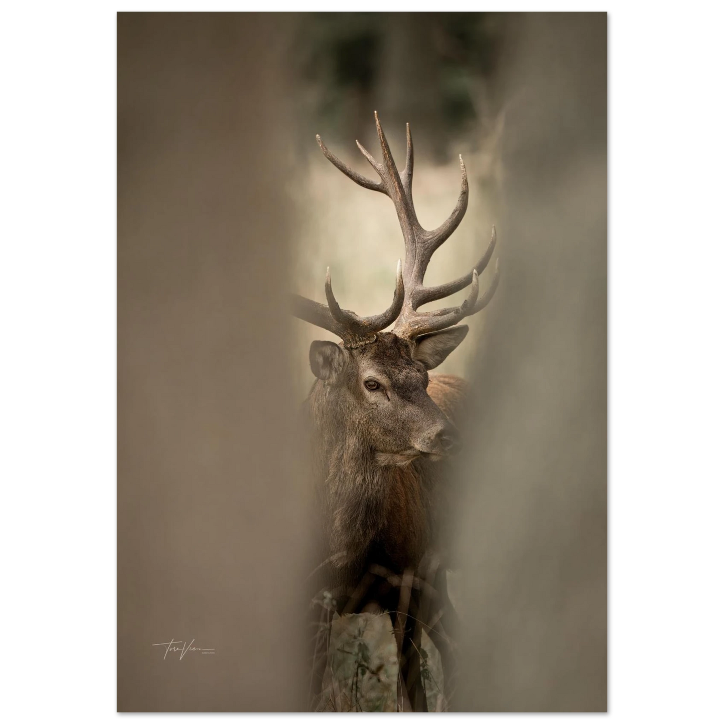 c5ec7561-eebe-4369-8538-6dd217523b80