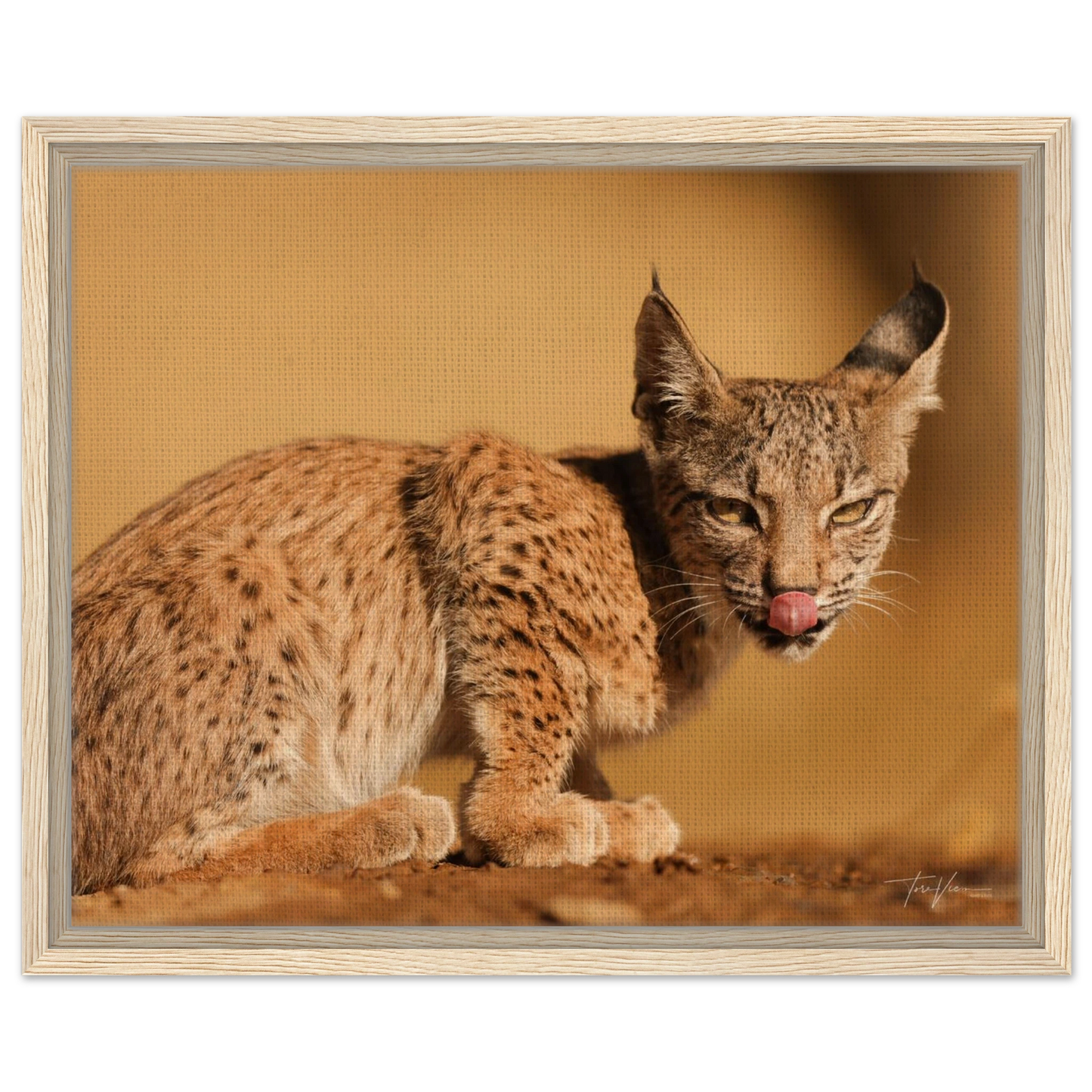 c6266fc0-ec58-41cd-bccf-87c480e2649f