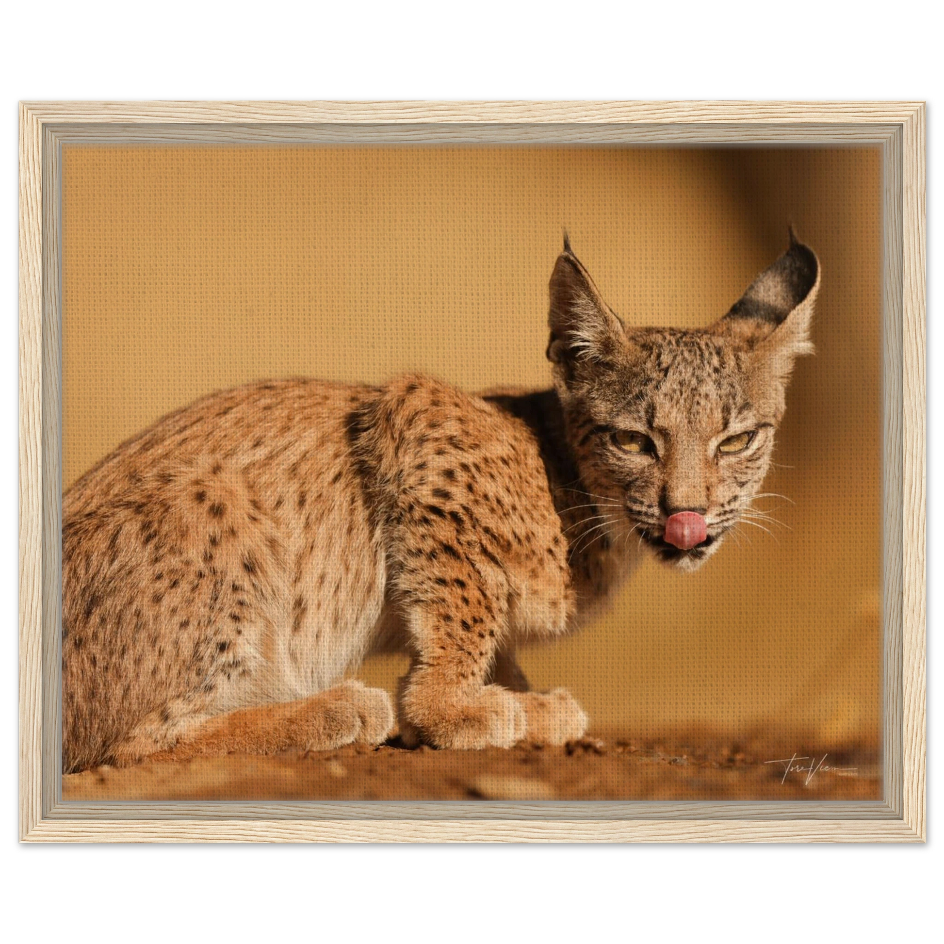 c6266fc0-ec58-41cd-bccf-87c480e2649f