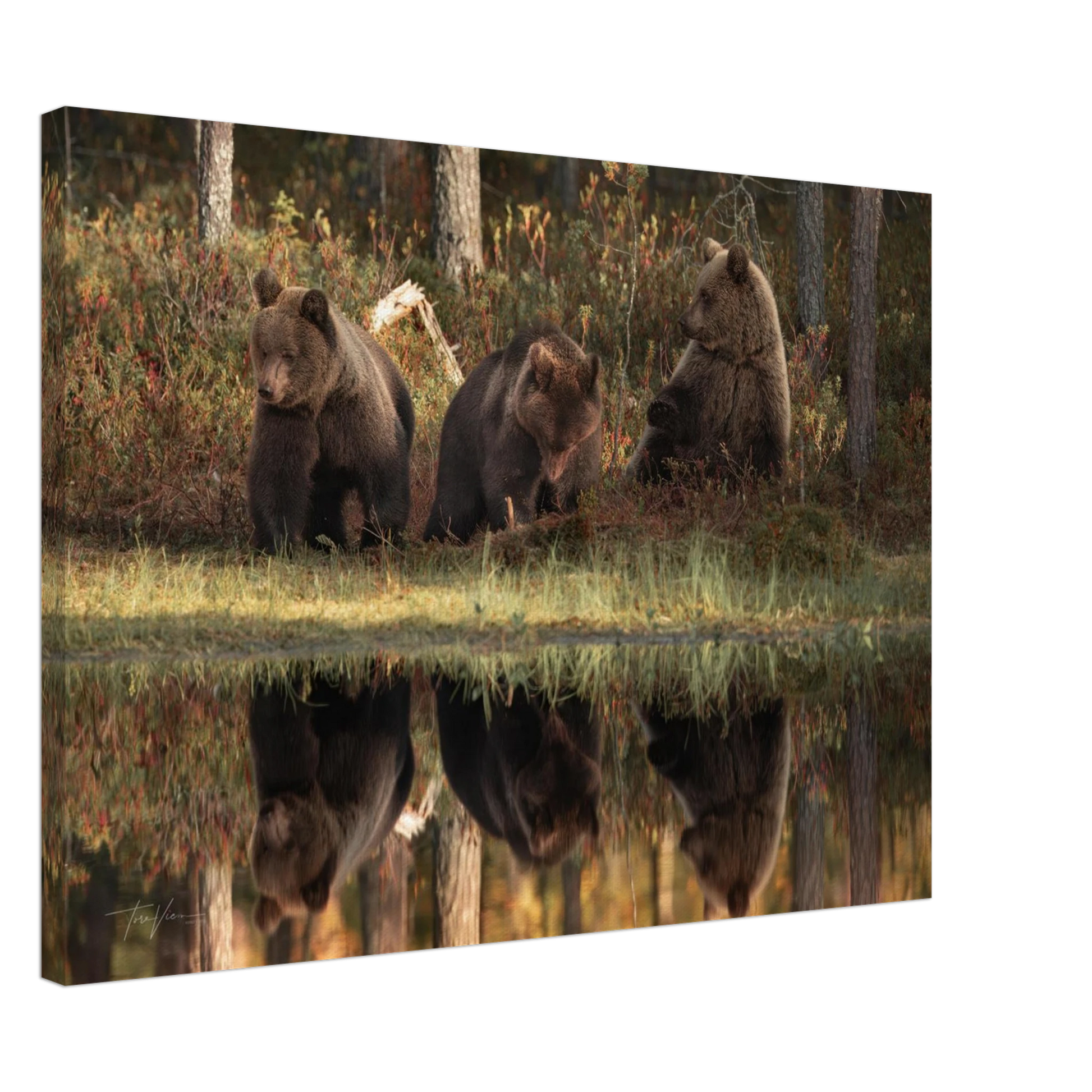 c6ce746c-40e6-4d09-88e1-e19596593839