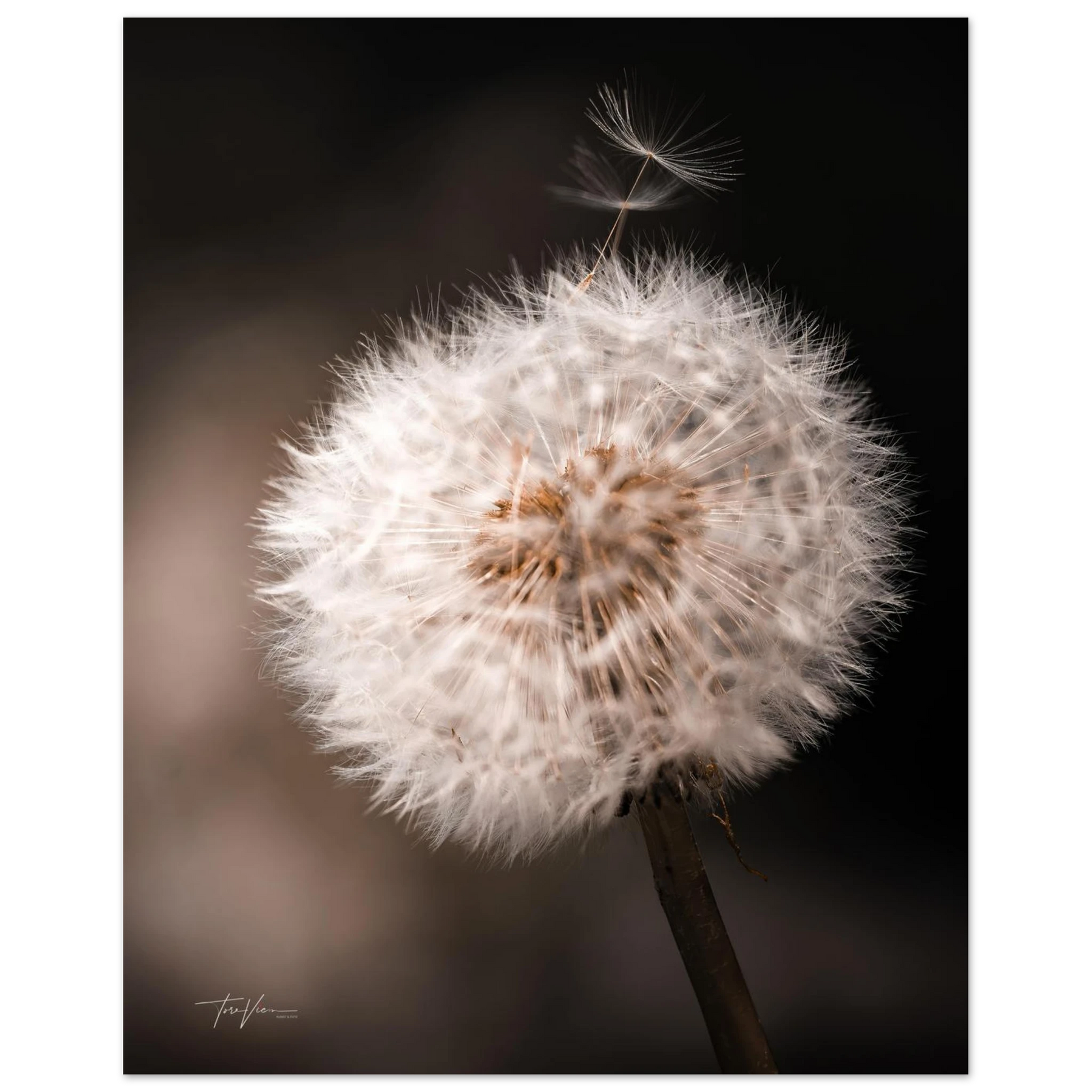 c789e039-f86b-4190-ac4e-ed8488e9cca5