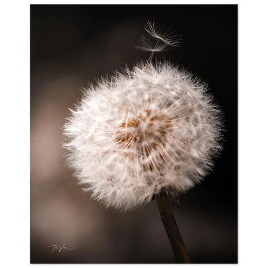 c789e039-f86b-4190-ac4e-ed8488e9cca5