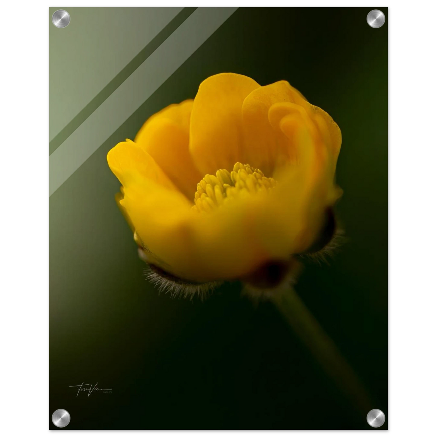 c85fa415-5e4d-45df-b8a8-603f58b8d066