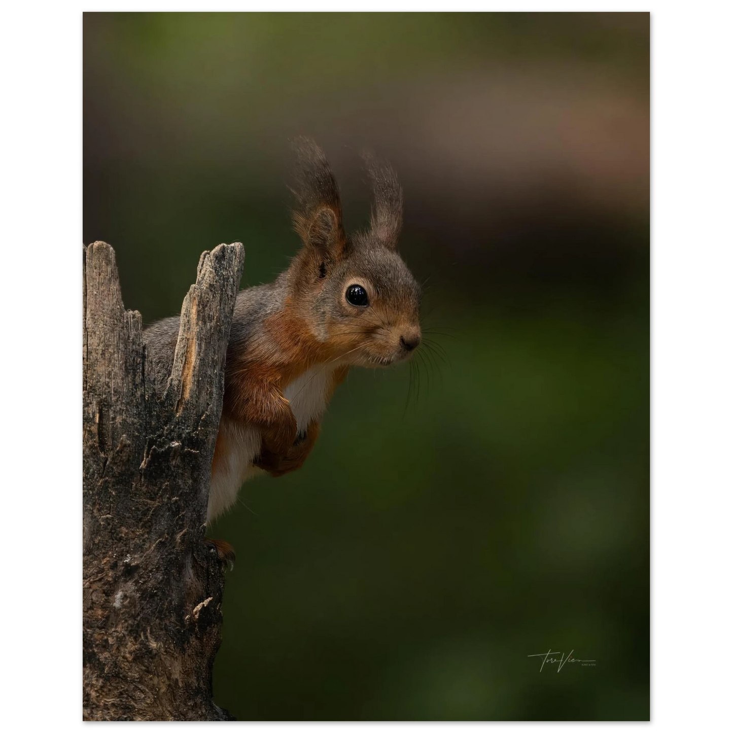 c8b7d0f7-ecf4-4332-bfc0-c3f39836e15b