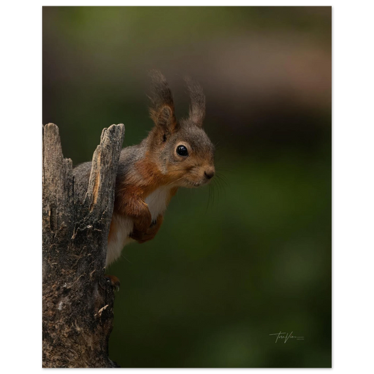 c8b7d0f7-ecf4-4332-bfc0-c3f39836e15b