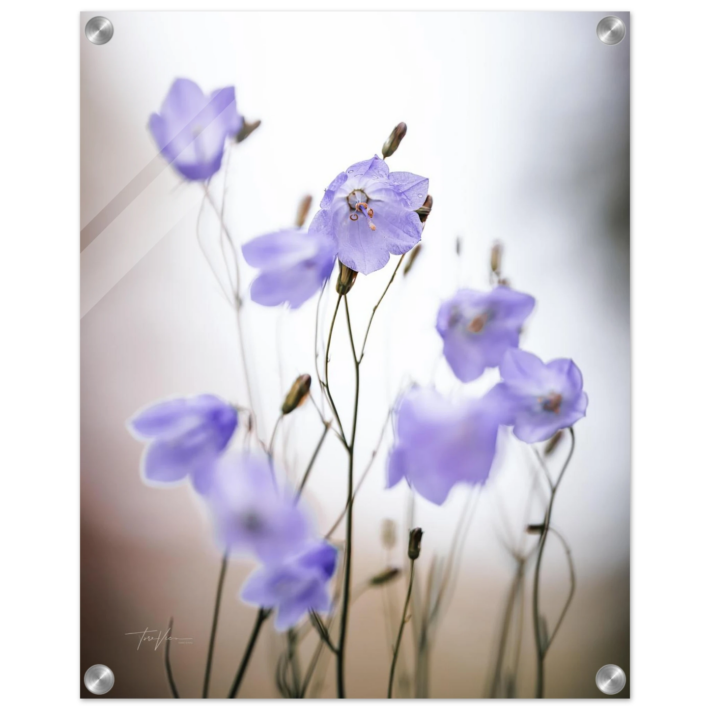 c8db4ba3-b0c4-4623-afd1-87558c97fc3b