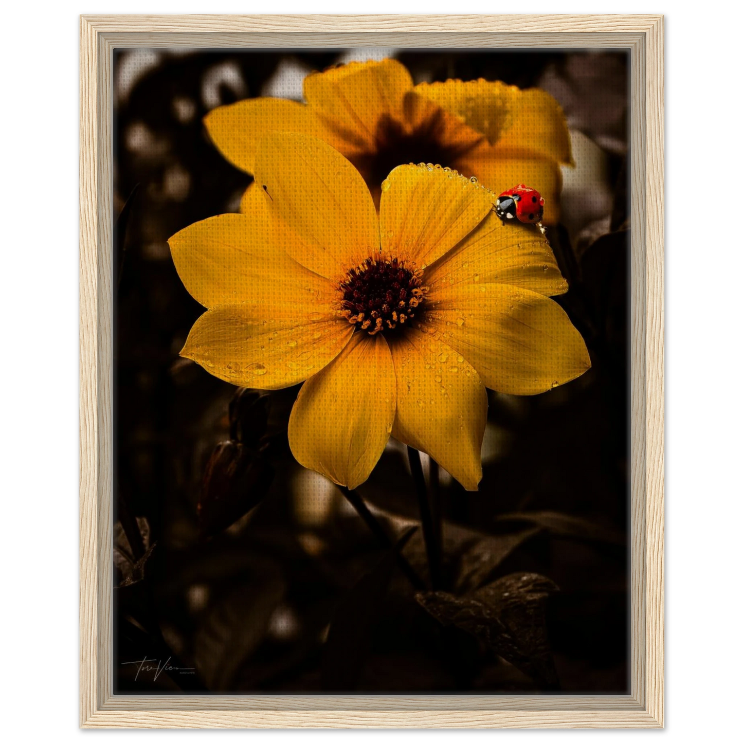 cb6677fc-1509-46cb-a062-2d647e4bfe74